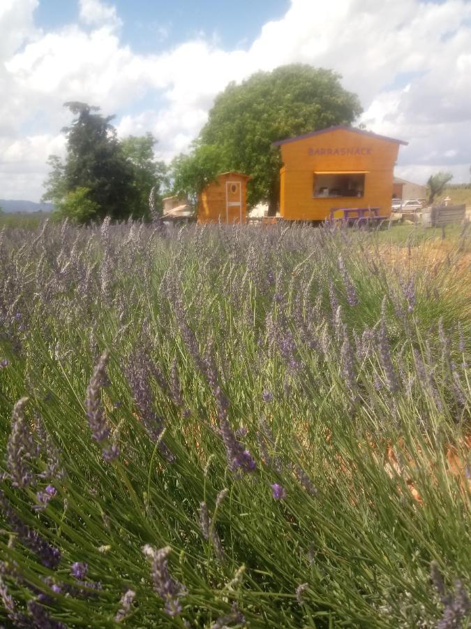 Chambre A La Ferme Au Milieu Des Lavandes Valensole Exterior foto